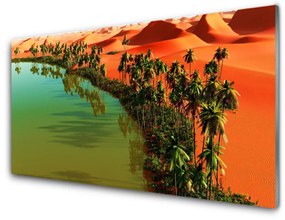 Üvegkép falra Lake Palm Desert 100x50 cm