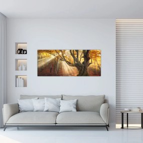 Kép - Őszi fény (120x50 cm)