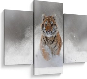 Futó tigris a hóban képe (90x60 cm)