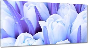 Vászonkép 115x55 Kék tulipánok