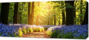 Vászonkép 90x40cm Hálószoba Nappaliba Panoráma Erdei ösvény