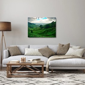 Kép - Teaültetvények Malajziában (üvegen) (70x50 cm)