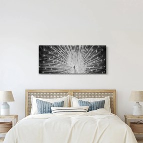 Kép - Fehér páva (120x50 cm)