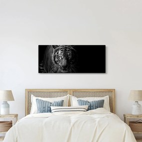 Egy vadtigris képe (120x50 cm)