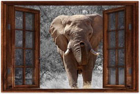 Poszterek 60x40 A nagy elefánt