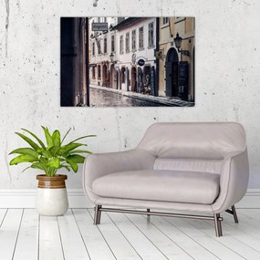 Kép - Prágai utca (90x60 cm)