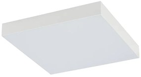 Lid