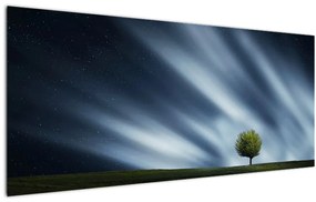 Az aurora borealis képe egy lápvidéken (120x50 cm)