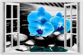 Poszter 60x40 Türkiz orchidea Virág