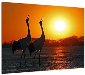 Madarak képe naplementekor (üvegen) (70x50 cm)