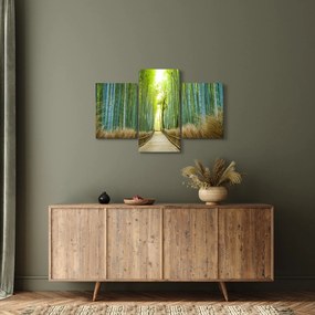 Kép - Bambusz erdő (90x60 cm)