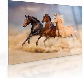 Kép - Vad lovak (üvegen) (70x50 cm)