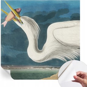 Öntapadós fotótapéta Nappaliba és Hálószobába Madár és hal 250x250 cm