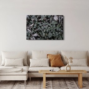 Kép - Fagyasztott növények (90x60 cm)