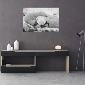 Kép - Jegesmedvék (90x60 cm)