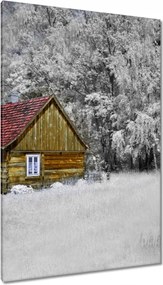 Vászonkép 80x120 Fa ház Bale