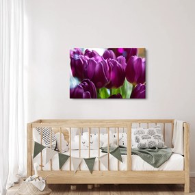Tulipán képe (90x60 cm)