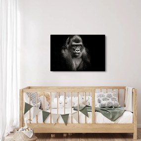 Kép - Gorilla (90x60 cm)