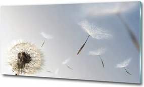 Fotó kép edzett üveg Zen kövek 100x70