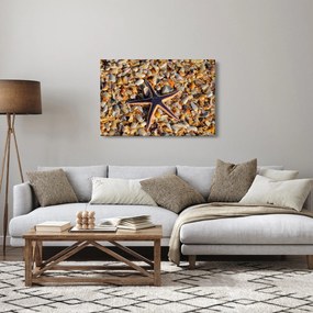 Egy tengeri csillag képe (90x60 cm)