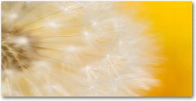 Pitypang védőpanel 100x50 cm Ragasztó