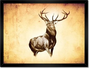 Poszterek keretben 40x30 Szarvas szarvakkal