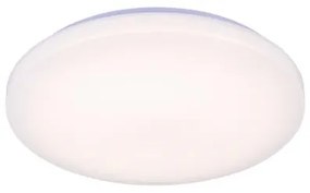 LED Dimmelhető mennyezeti lámpa hangvezérléssel OPAL LED/48W/230V + távirányító