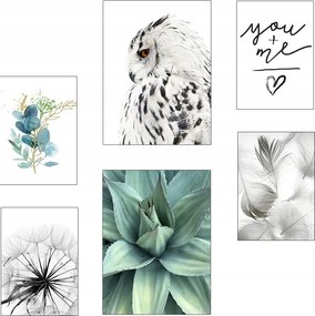 Komplett Galéria 6db Poszter Keret Nélkül Kpba 300