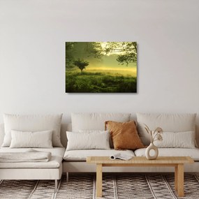 Kép - Ébredő erdő (üvegen) (70x50 cm)