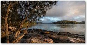 Fotó üvegkép Fa a folyóparton 140x70