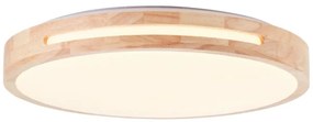 Brilliant - LED Dimmelhető mennyezeti lámpa WOODBURY LED/24W/230V átm. 39 cm