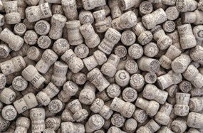 Poszter 91,5x60cm PezsgĆs dugĂłk, Assaf Frank