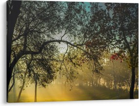 Napkelte képe (70x50 cm)