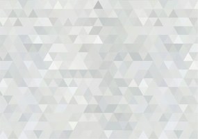 Fotótapéta Flizelina Nappali és Hálószoba Irodába Szürke mintás 312x219 Ragasztó