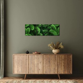 Kép - Tűlevelű gallyak (órával) (90x30 cm)