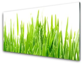 Üvegfotó Grass Nature Plant 100x50 cm 2 fogas