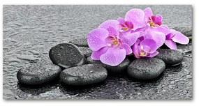 Akrilkép Orchideák kövek oah-69189175