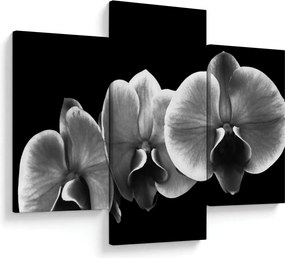 Egy orchidea virág képe (90x60 cm)