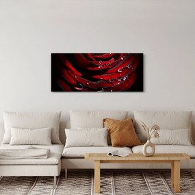 Kép - Rózsa részlete (120x50 cm)