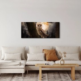 Egy gyöngybagoly képe (120x50 cm)