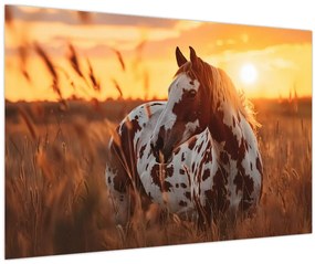 Kép - Ló naplementében (90x60 cm)