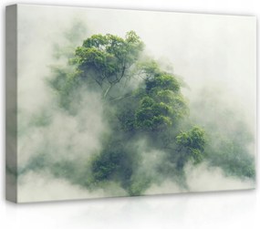 Vászonkép 70x50 Erdő a ködben misztikus erdő ködös reggel zöld természet nyugalom