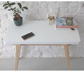 Mentazöld-natúr színű konzolasztal 45x90 cm Envelope – Ragaba