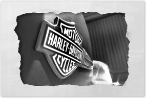 Poszterek 90x60 Harley Davidson logó