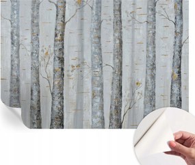 Fotótapéta Öntapadós Dekoratív tapéta Nyírfák 152x104 cm