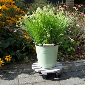 Fa gurulós virágállvány ø 29 cm (magasság 8 cm) Indoor &amp; Outdoor – Esschert Design