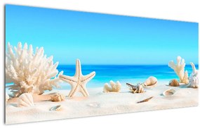Kép - Csendélet kagylóval (120x50 cm)