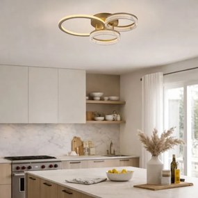 Rabalux 71473 - LED dimmelhető mennyezeti lámpa RIVONA LED/38W/230V 3000-6500K 58,5x38 cm+távirányítóval