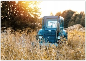 Poszterek 100x70 Antik traktor a réten