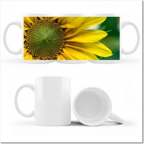 Napraforgó virág fényképes bögre